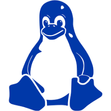 LINUX CLOUD VPS